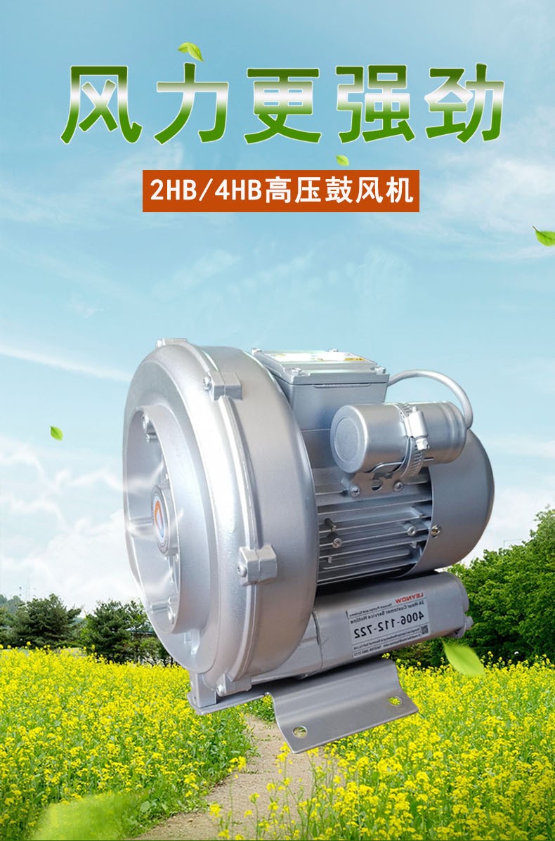 高壓鼓風機出現噪音和溫度偏高的原因